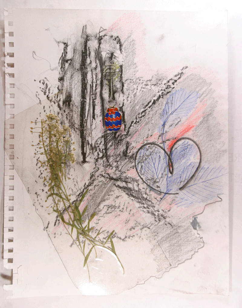 The World From My Front Porch