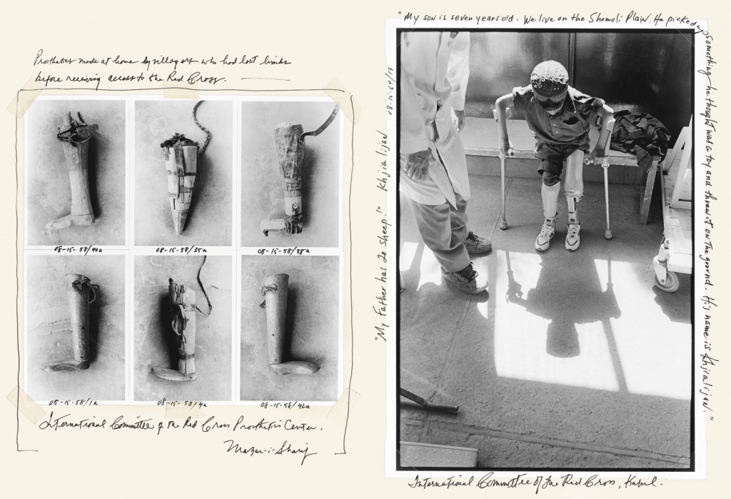 The World From My Front Porch